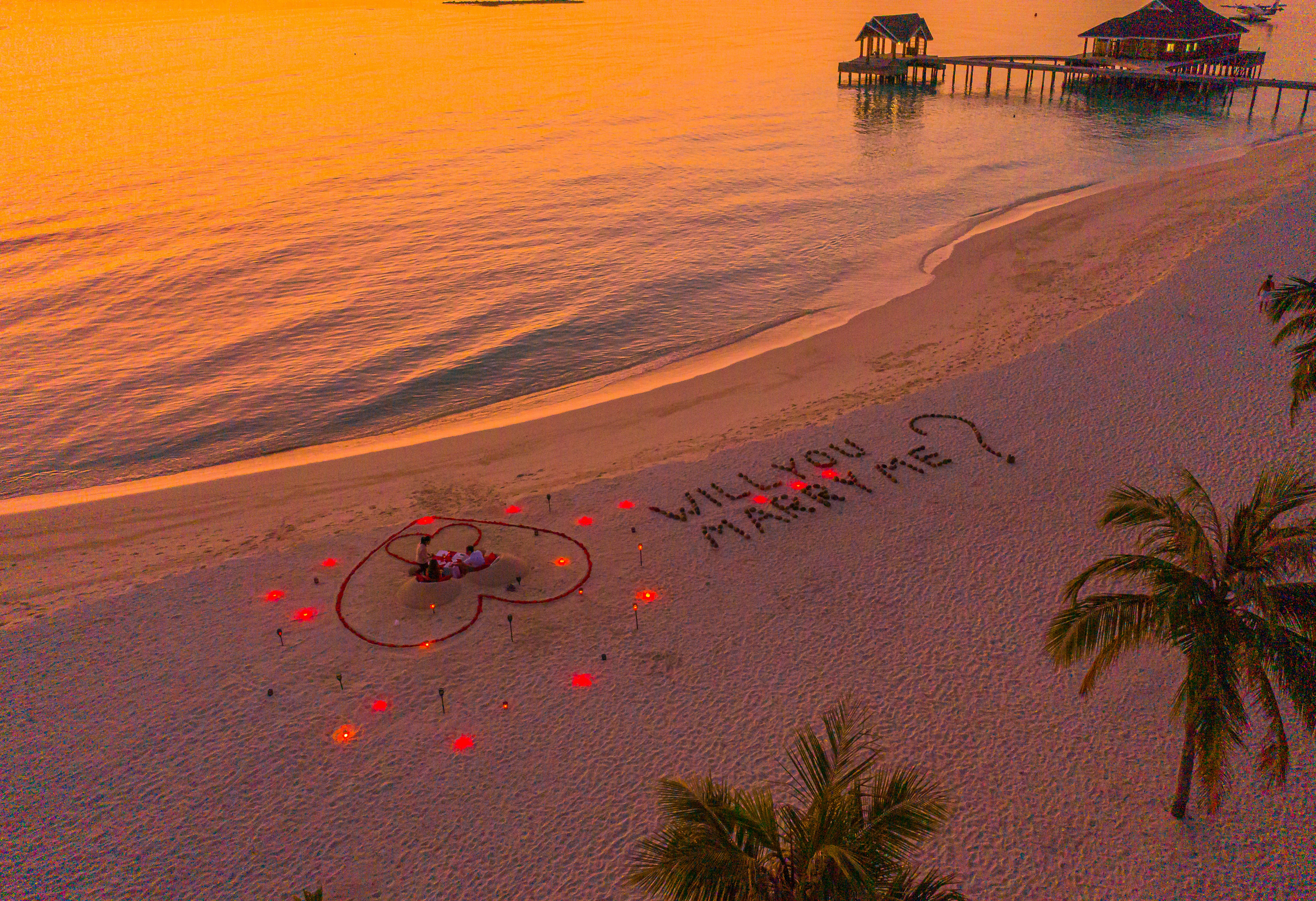 a beach with palm trees and a sign that says happy birthday