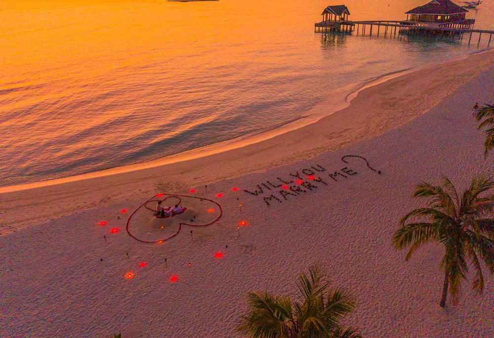 Una playa con palmeras y un cartel que dice feliz cumpleaños