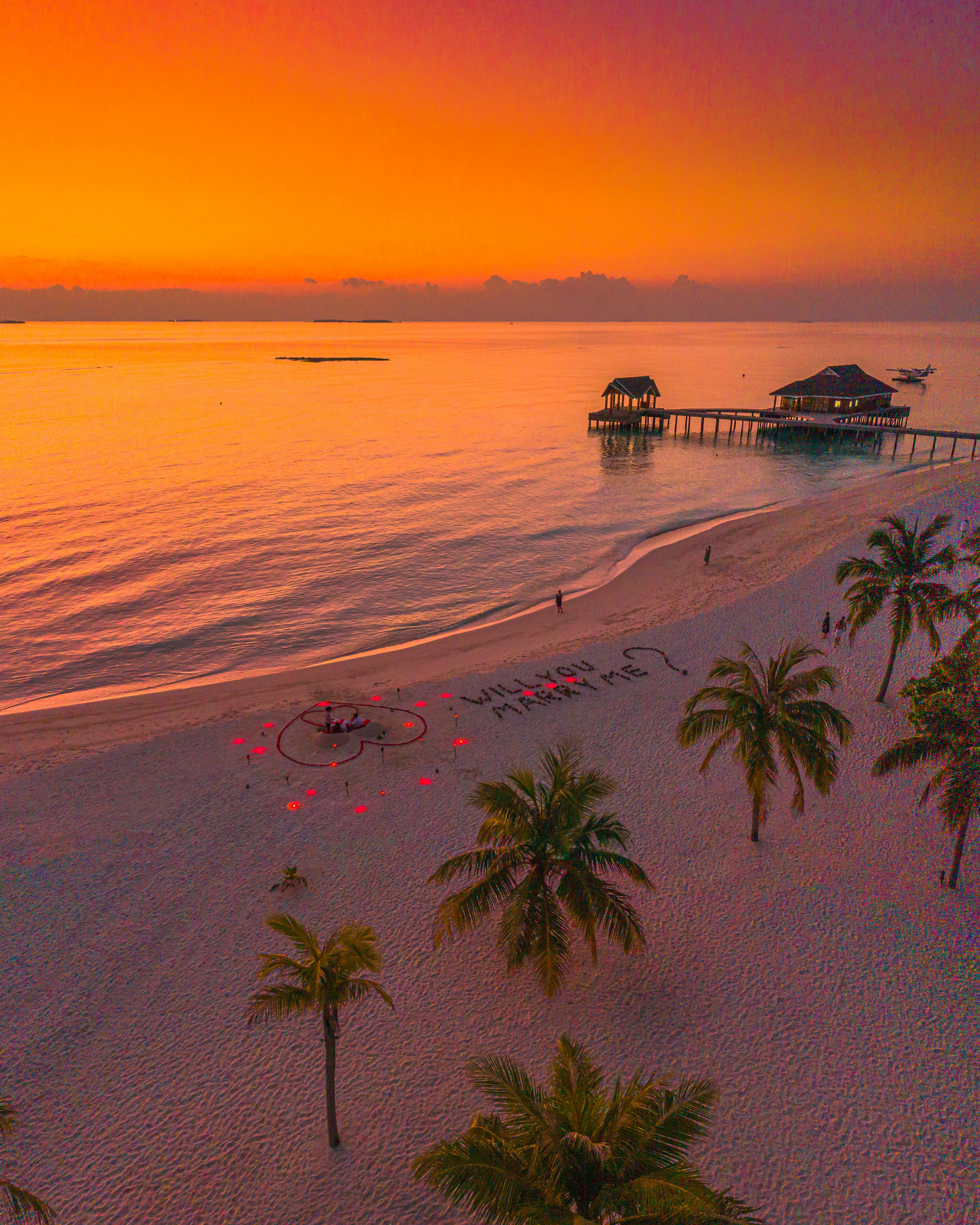 a beach with palm trees and a pier in the distance