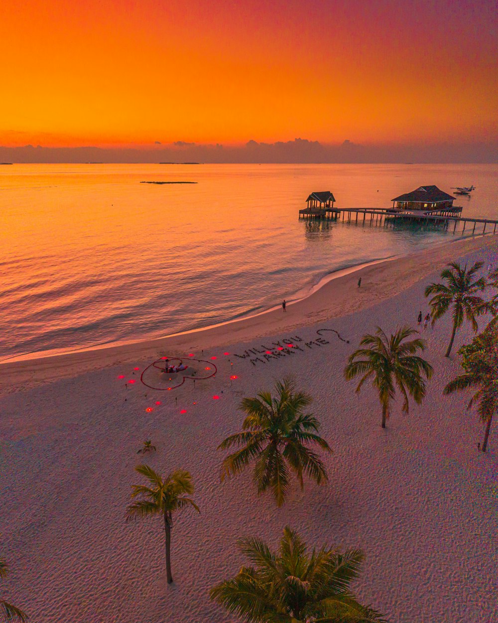 a beach with palm trees and a pier in the distance