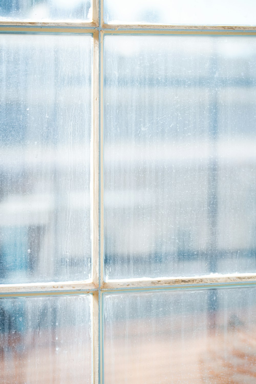 a cat sitting on a window sill in front of a window