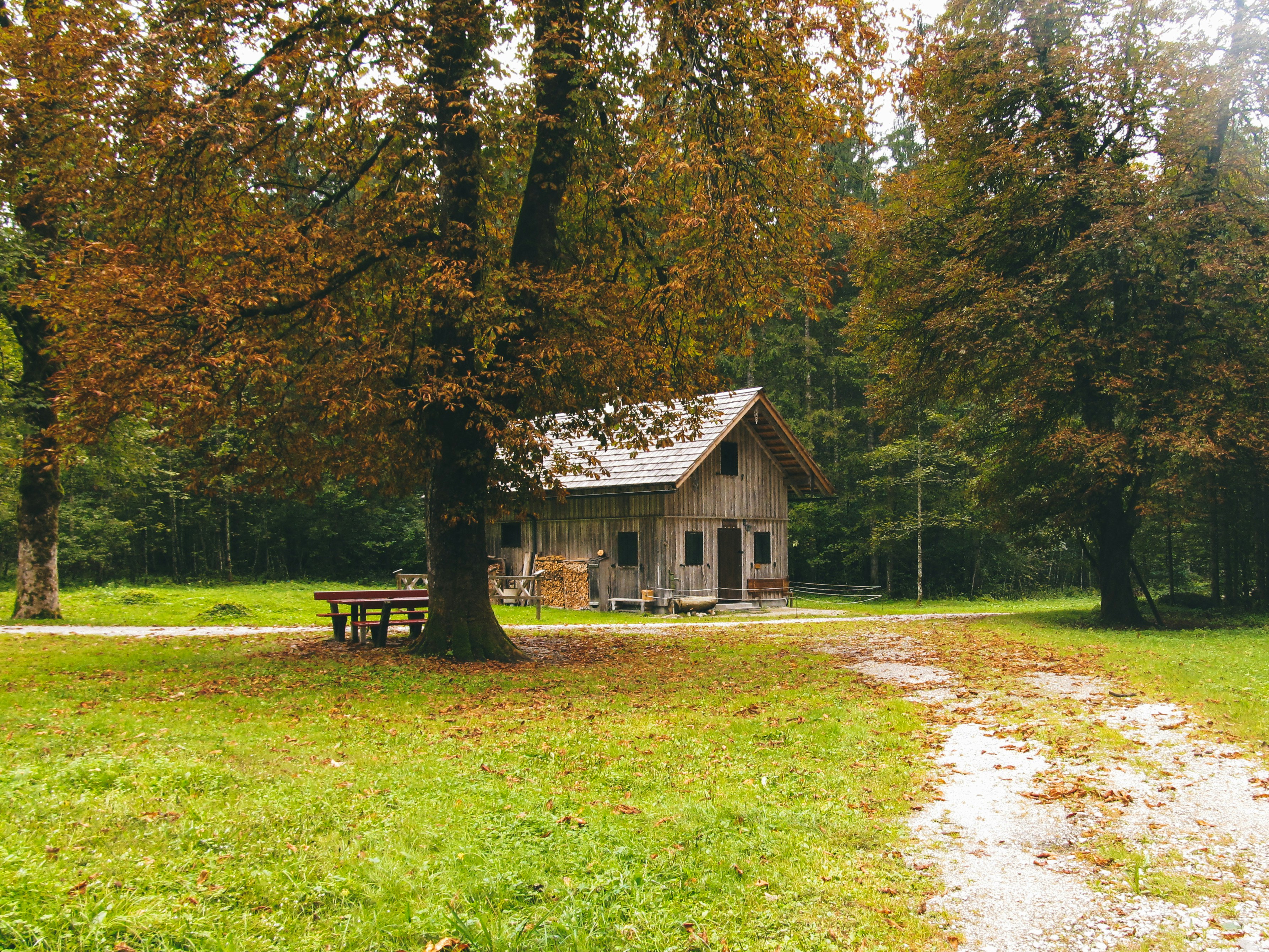 Photo by angelikaberger