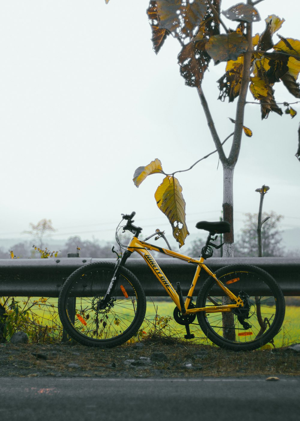 a yellow bike parked next to a tree