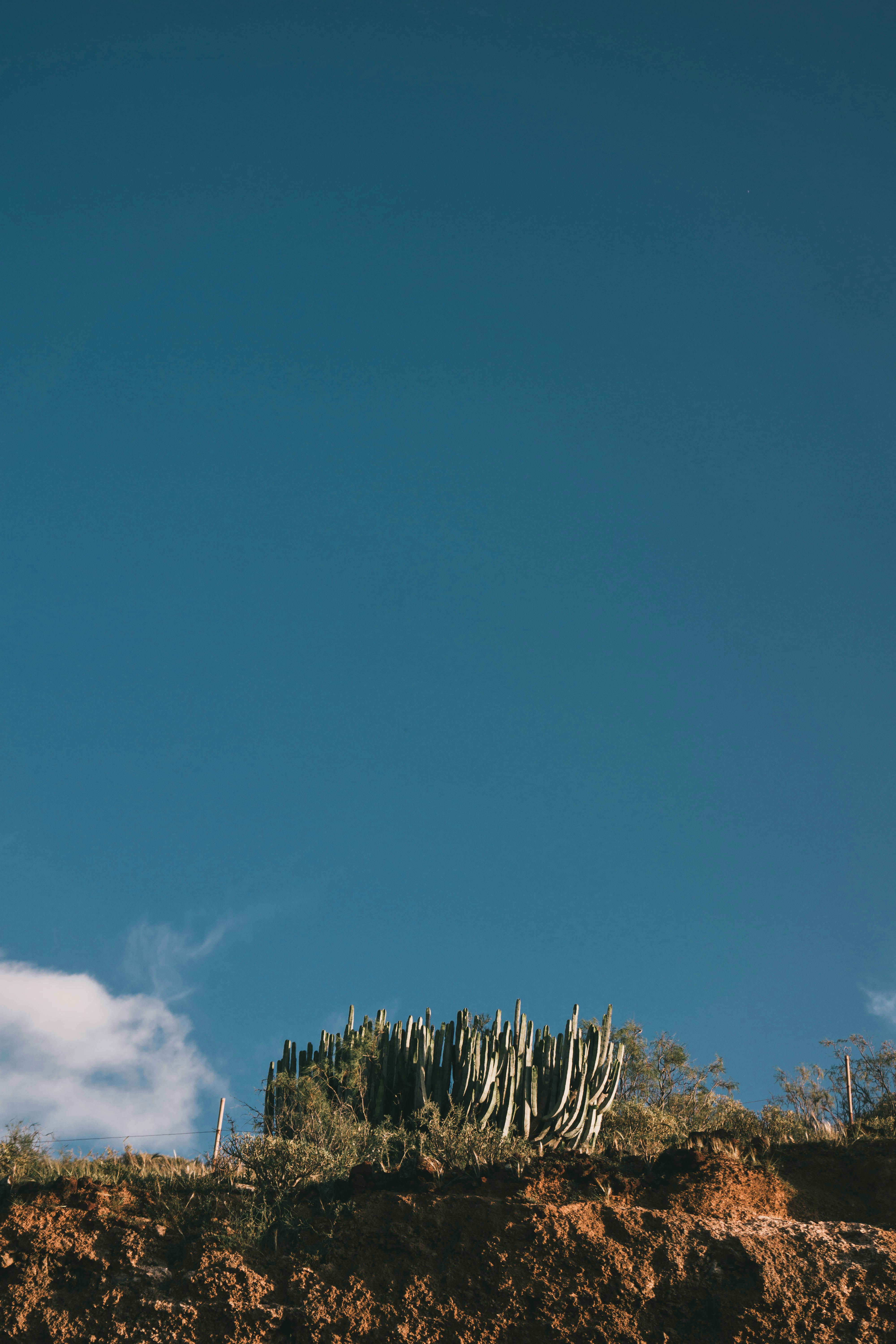 Photo by kamilpphotos