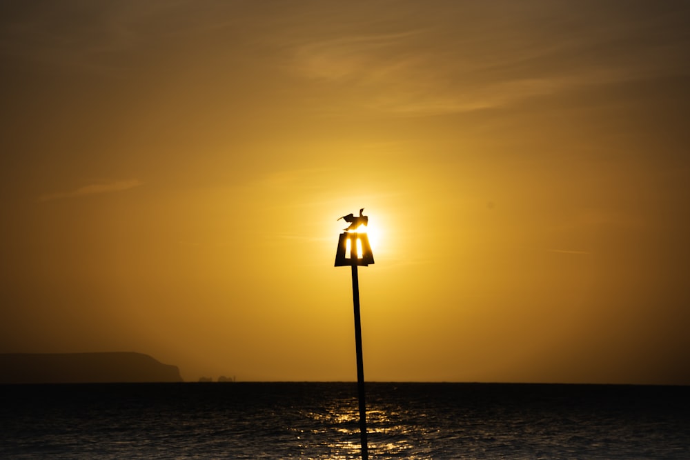 a bird sitting on top of a light pole near the ocean