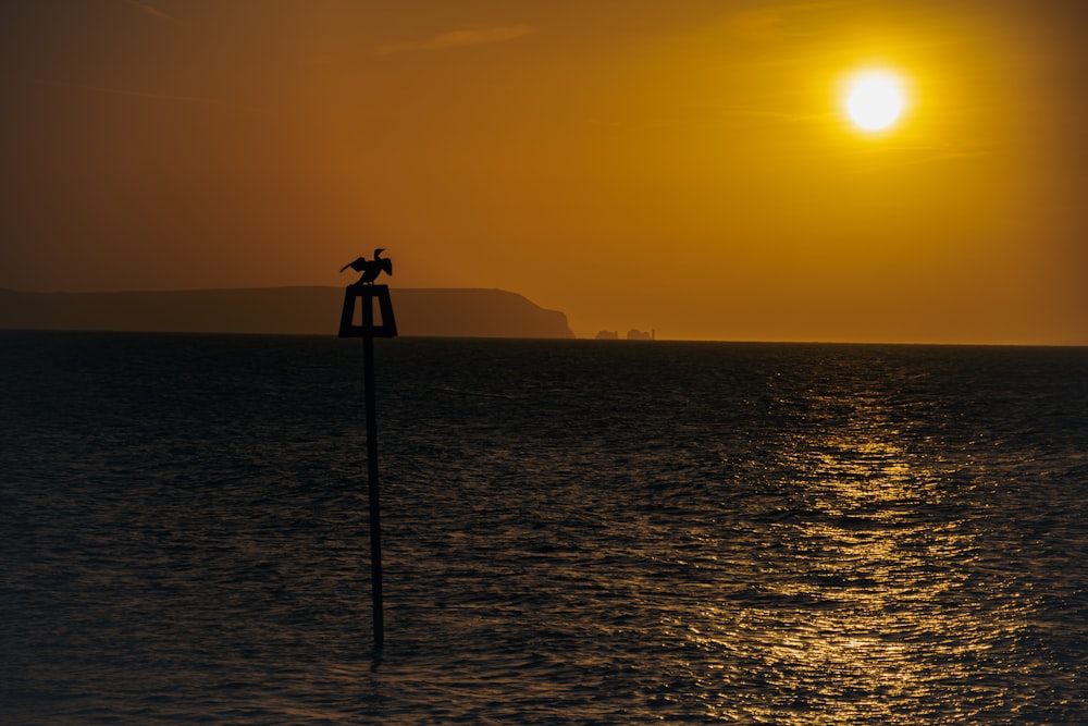 the sun is setting over the ocean with a bird perched on a pole