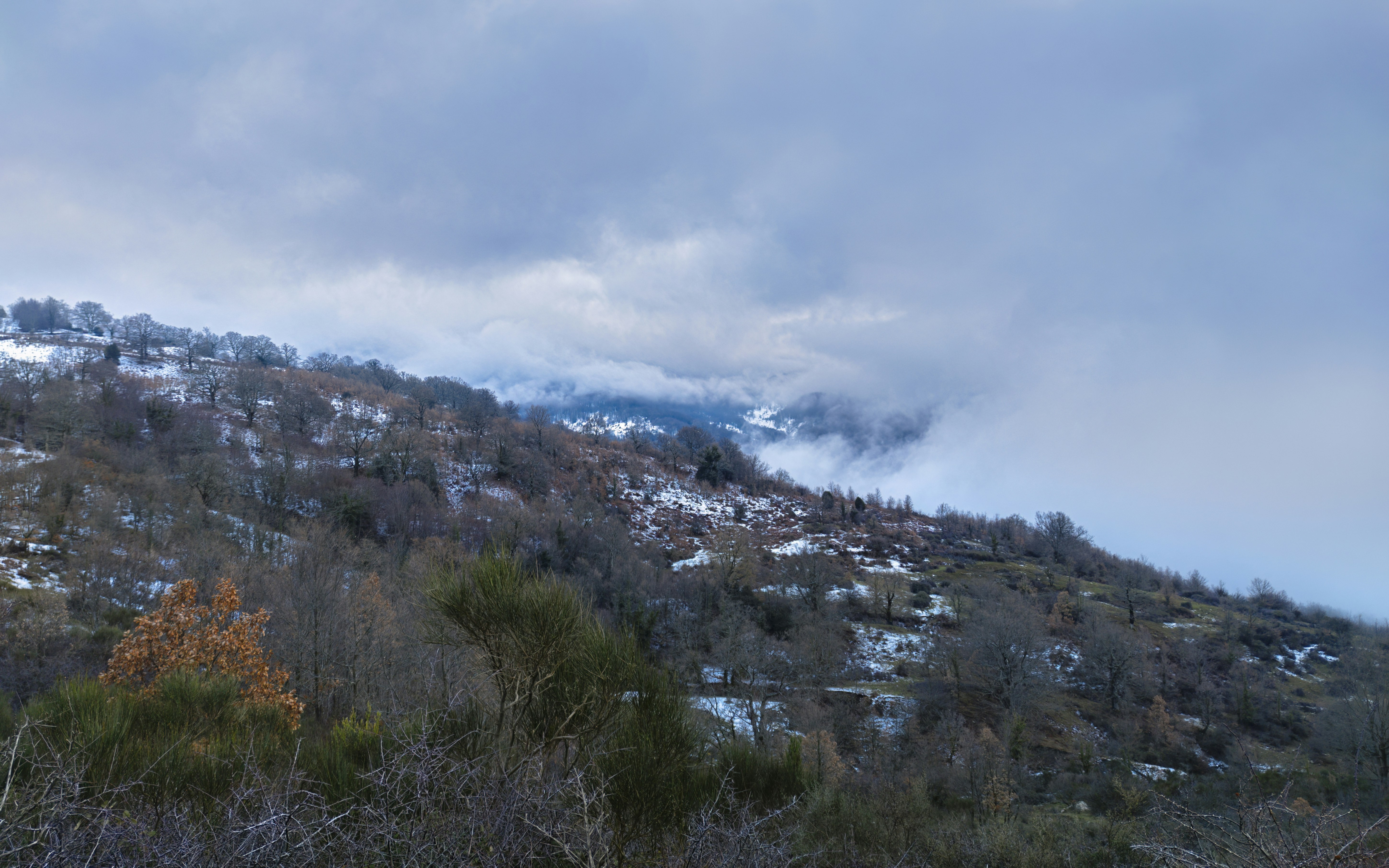 a mountain covered in snow and trees under a cloudy sky