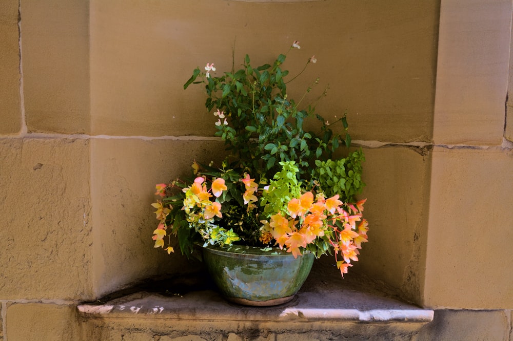 a potted plant sitting on top of a stone shelf