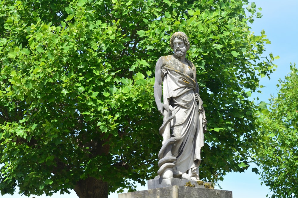 Una statua di un uomo in piedi accanto a un albero