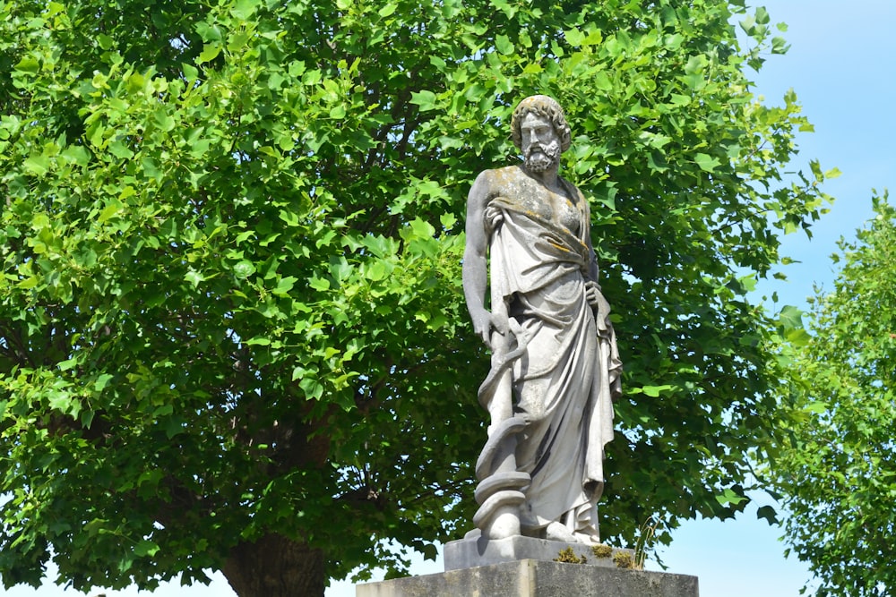 a statue of a man standing next to a tree