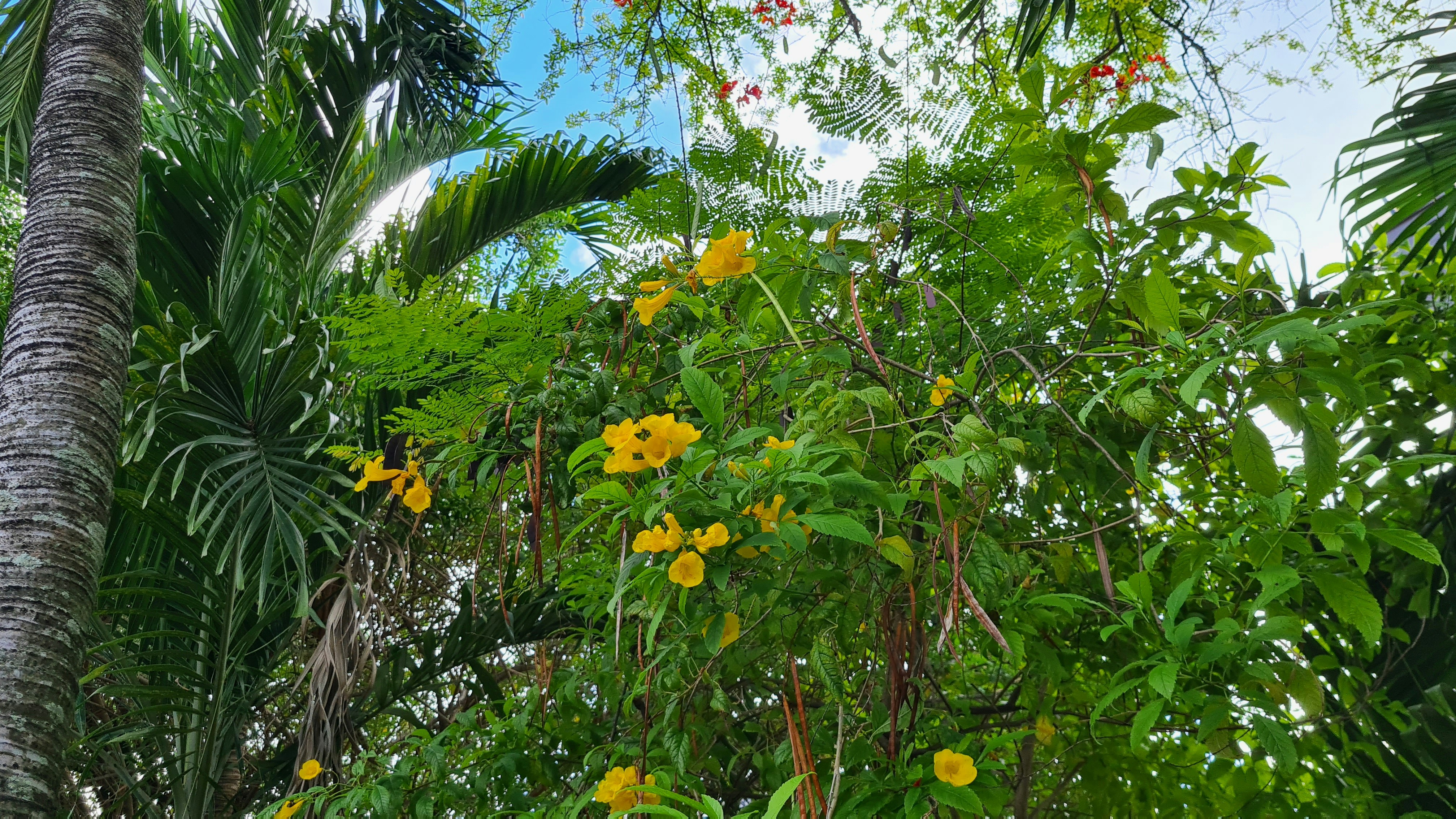 The Caribbean Islands of Resistance (image credits: unsplash)