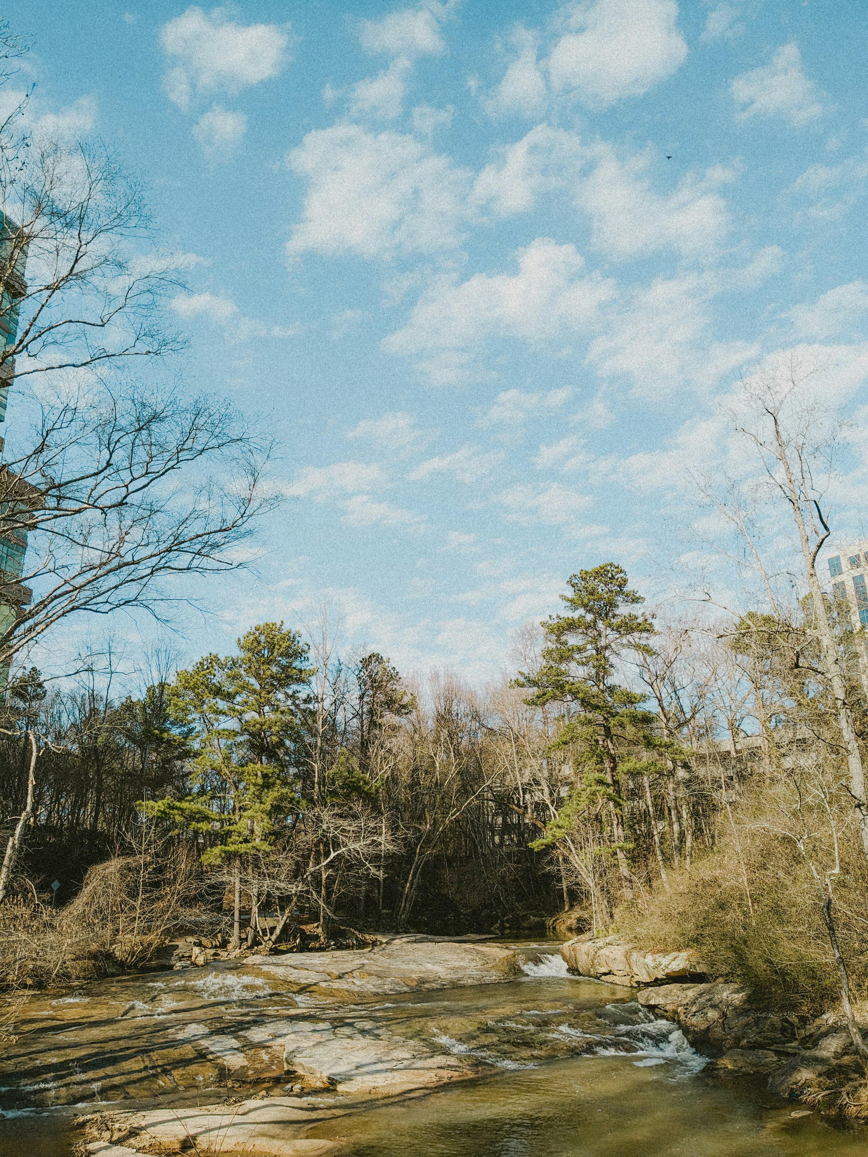 Photo by shelbielovescoffee