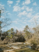 A serene landscape depicting the balance of nature.