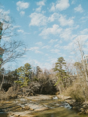 A serene landscape depicting the intersection of nature and science.