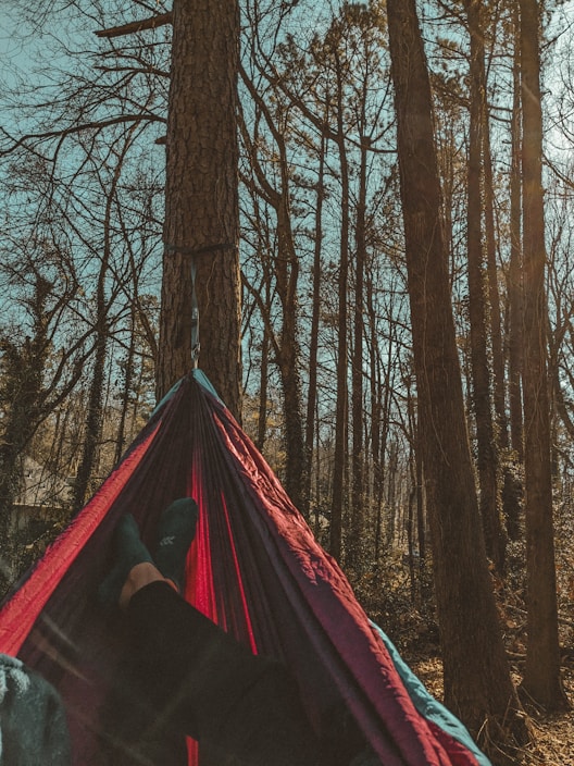 A person relaxes in a hammock suspended between tall trees in a serene forest setting. The perspective captures their legs stretched out, suggesting leisure and peace. Sunlight filters through the bare branches, casting soft shadows and adding a sense of warmth to the scene.