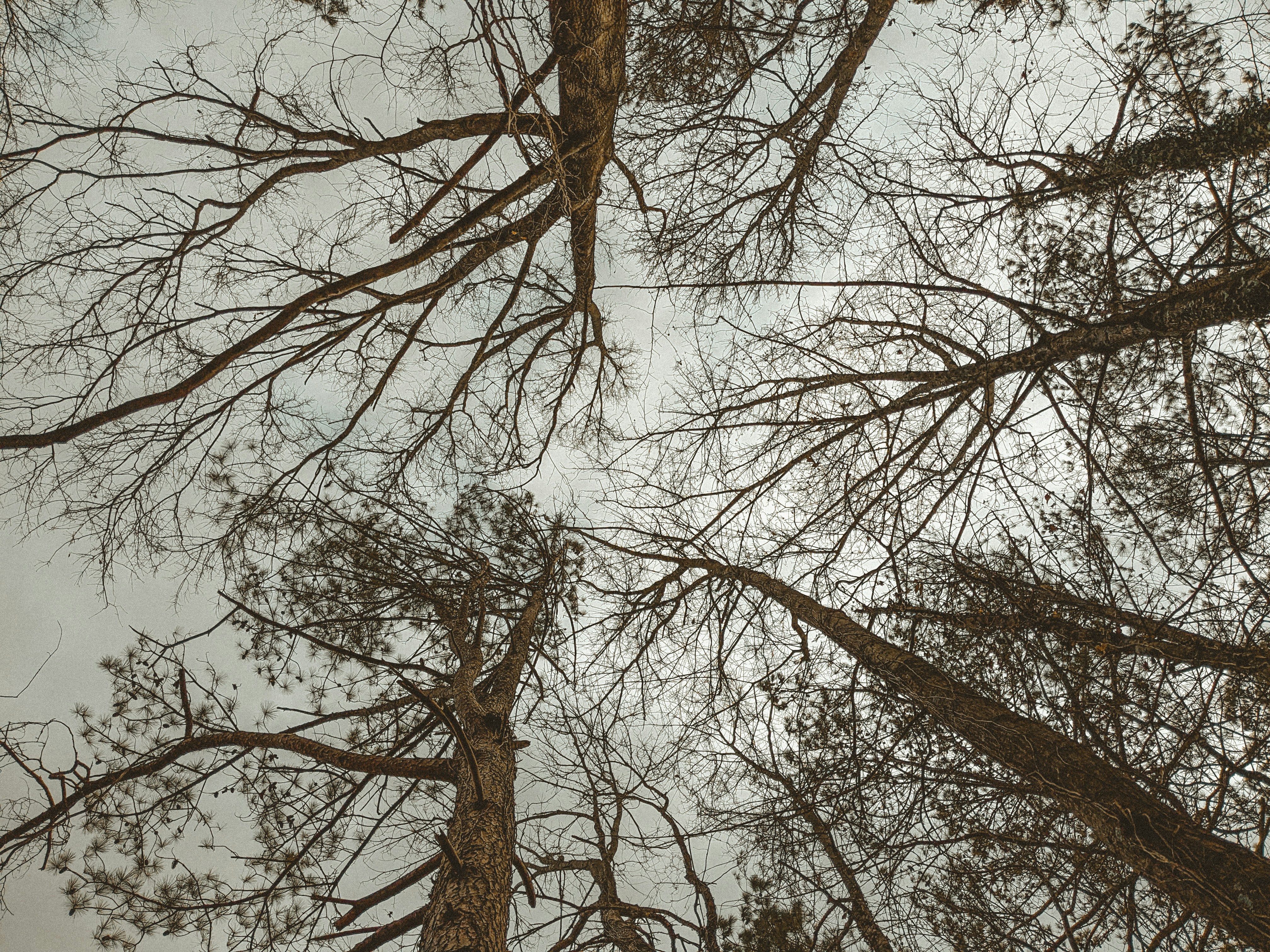 Photo by shelbielovescoffee