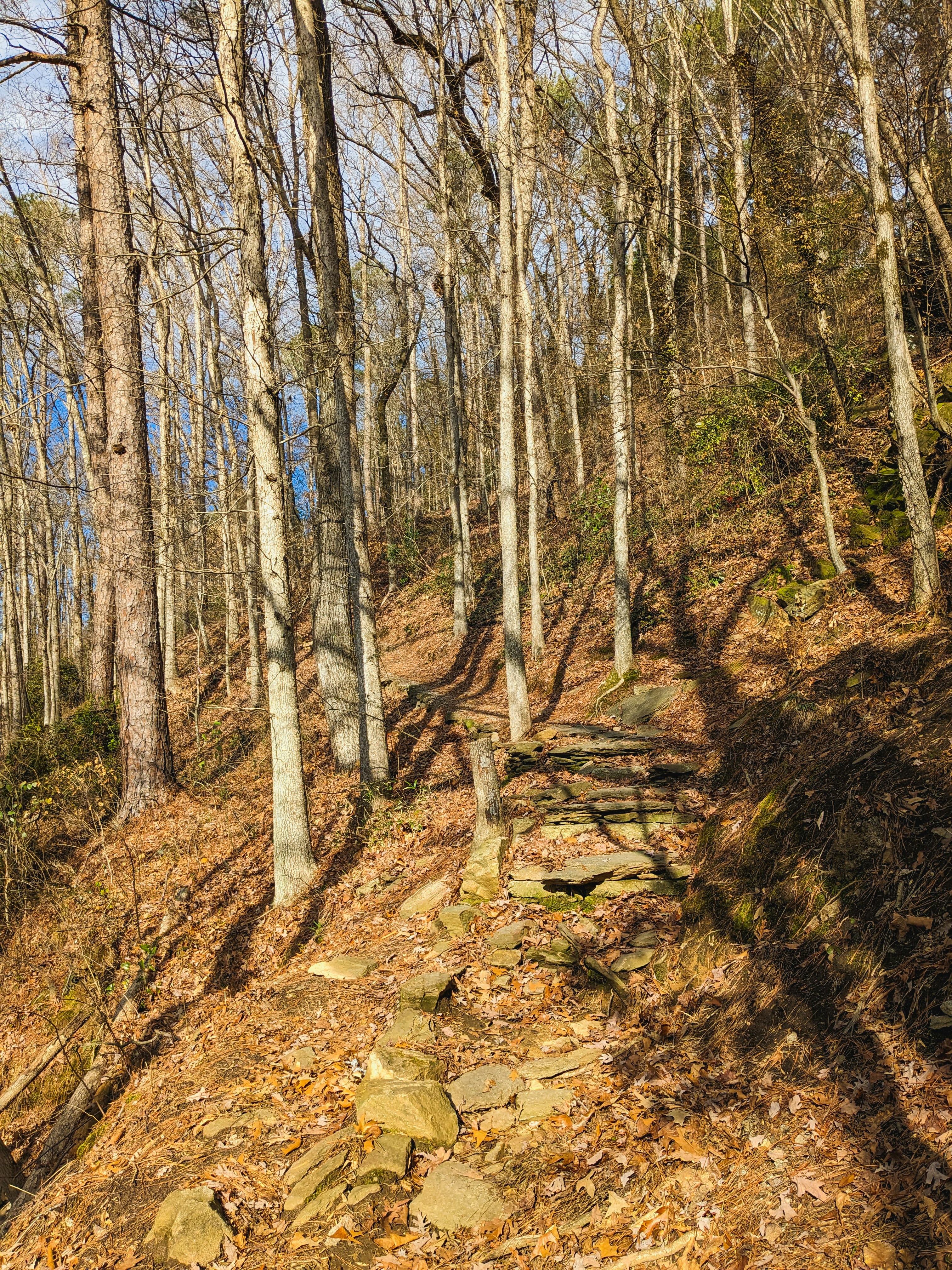 Photo by shelbielovescoffee