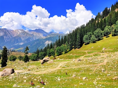 A scenic view of horseback riding in a beautiful landscape.