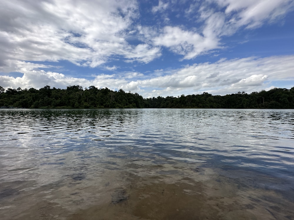 a body of water with trees in the background