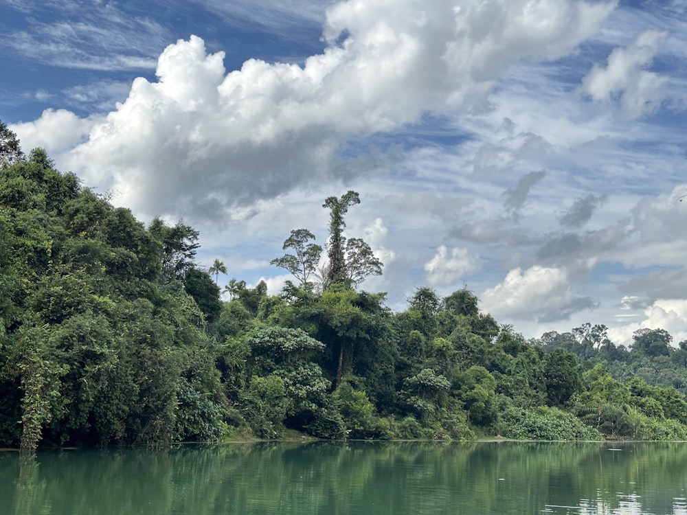 a body of water surrounded by trees and clouds