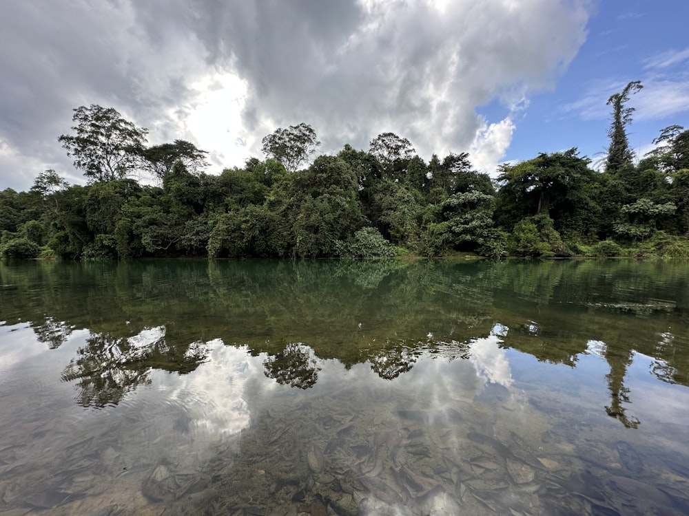 a body of water surrounded by trees and clouds