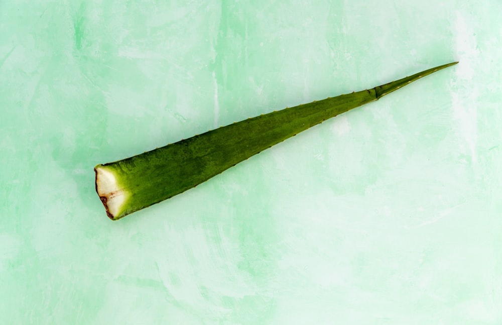 a green leaf on a light green background