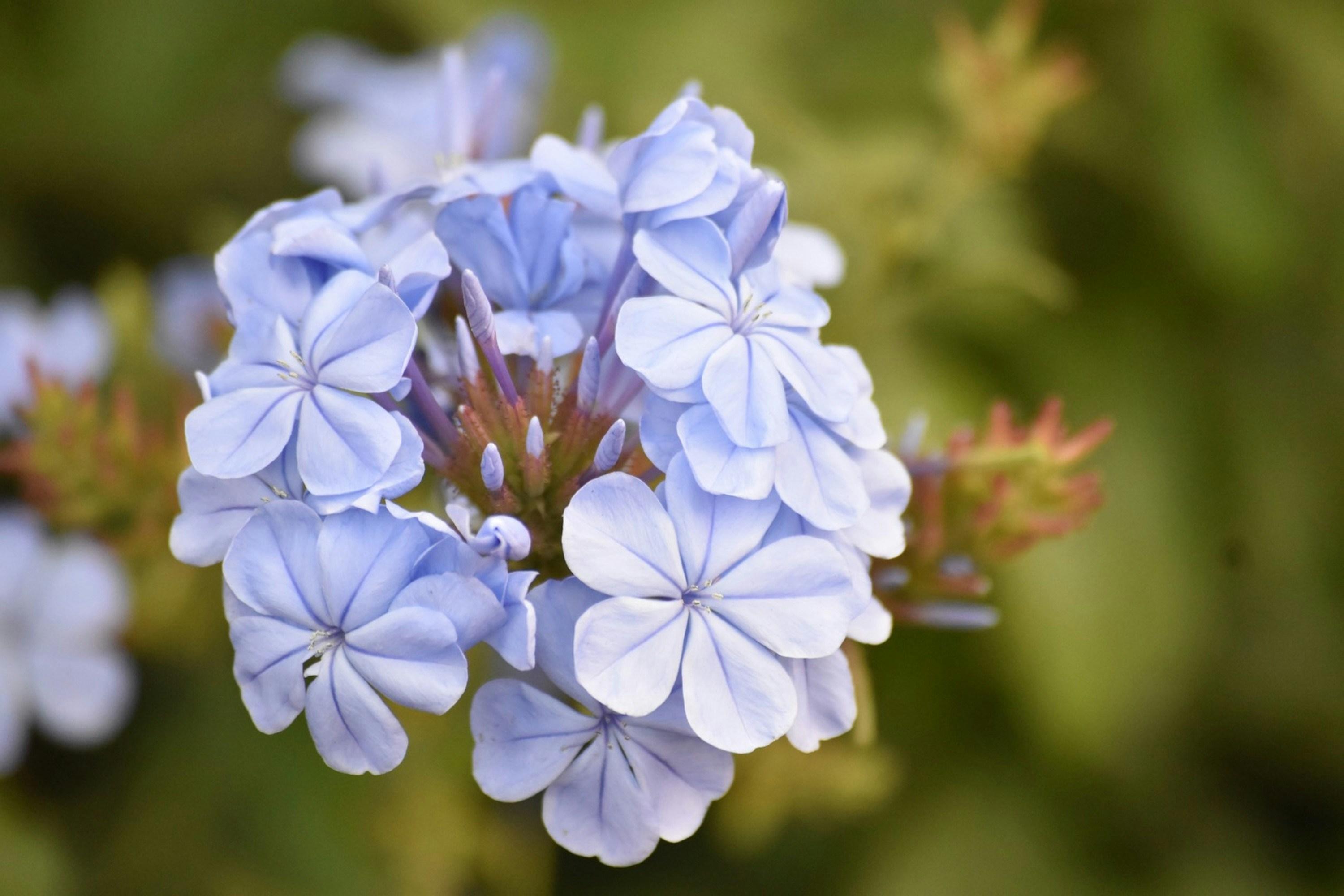 Photo by its_ibrahim