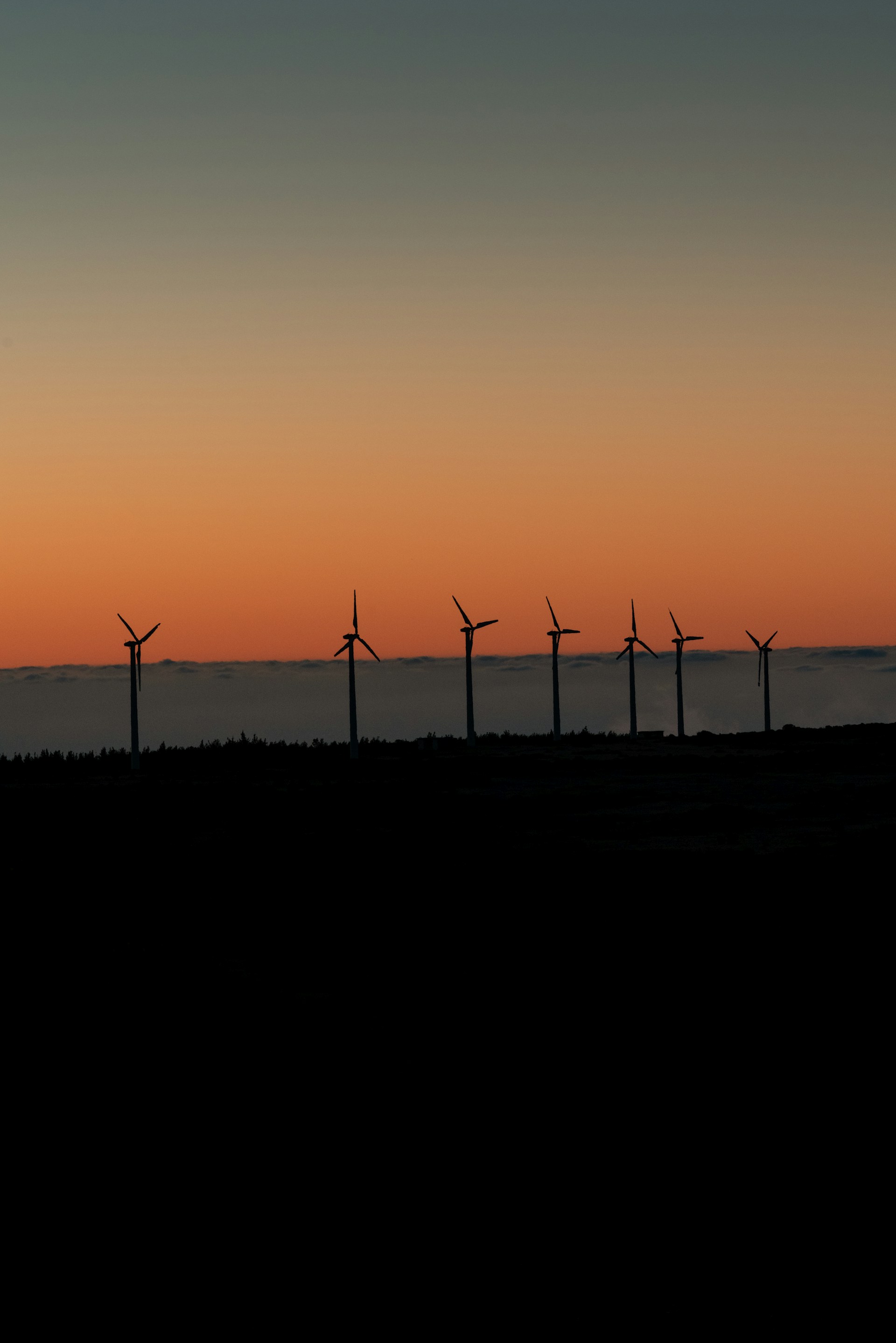 a row of wind turbines in the distance