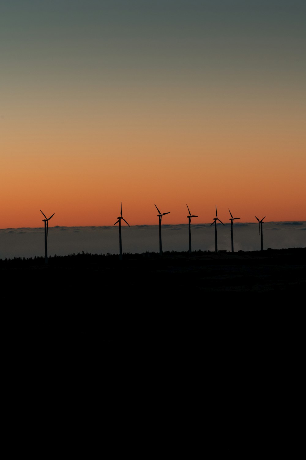 a row of wind turbines in the distance