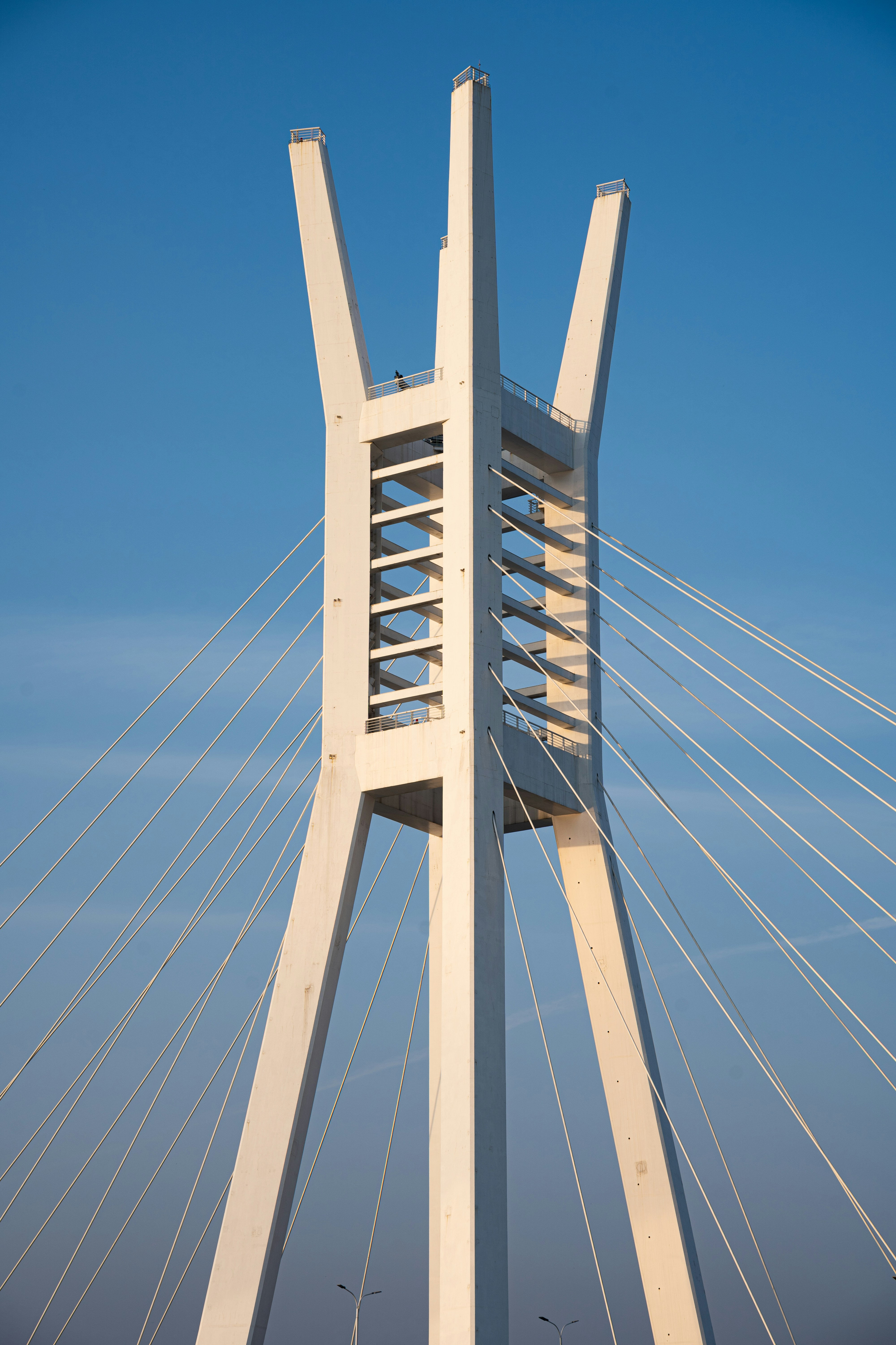 Photo by y1316476967