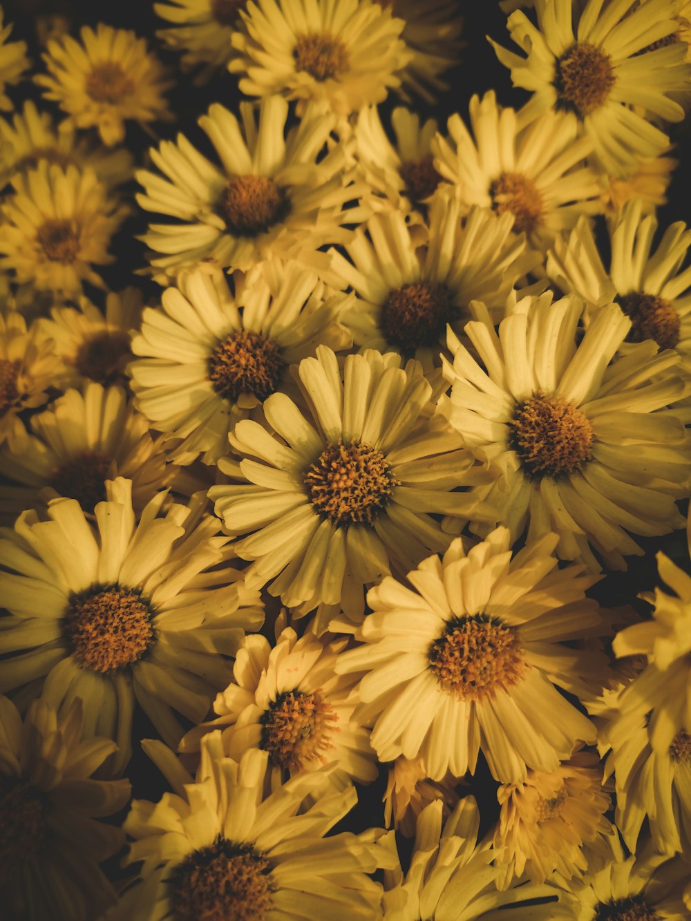 a bunch of yellow daisies in a vase