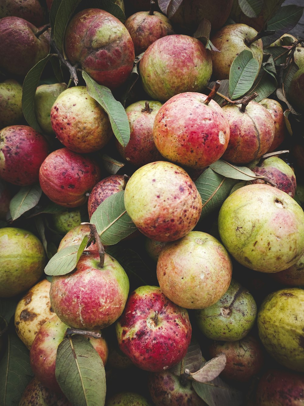 a pile of rotten apples with green leaves