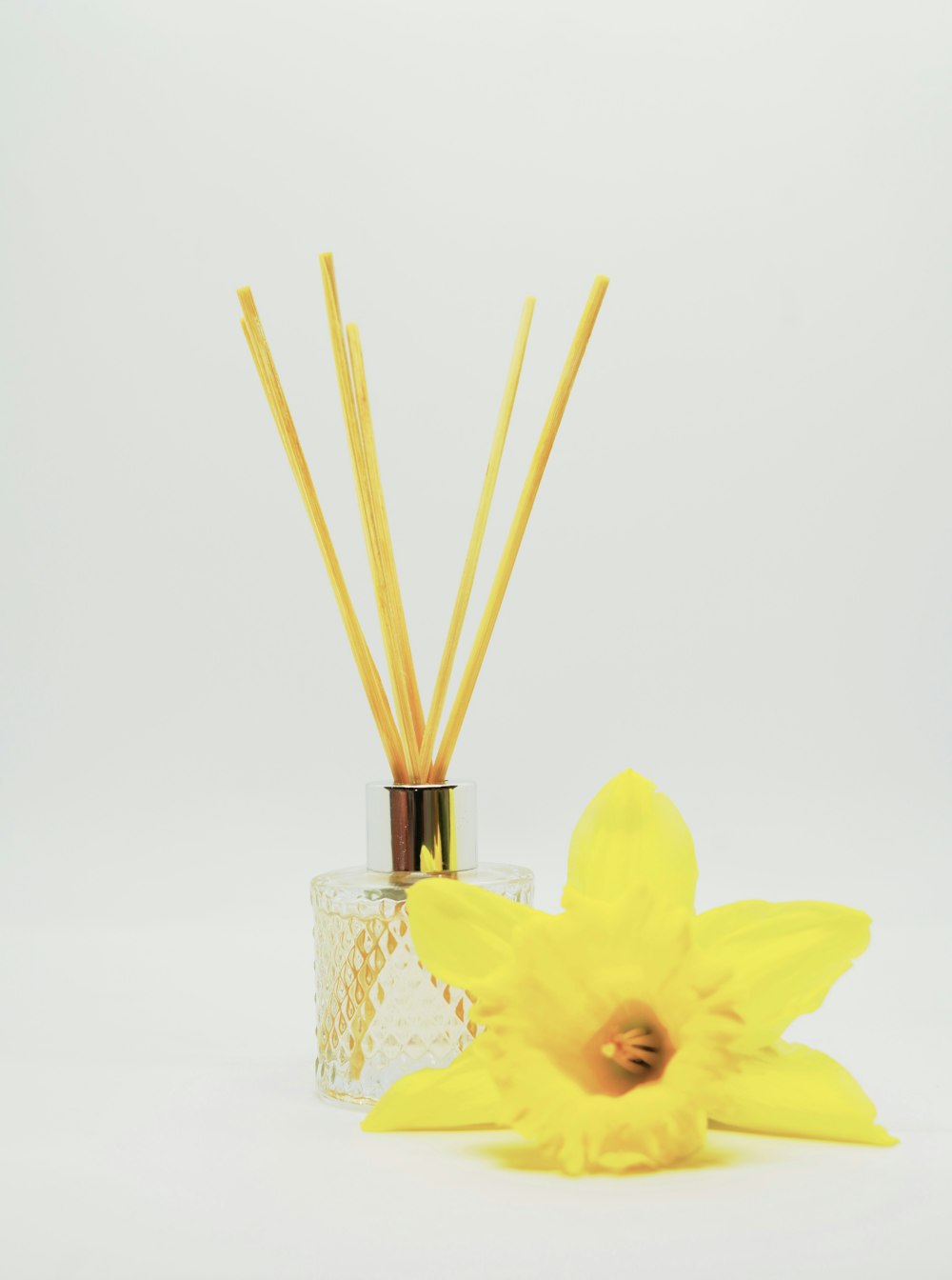 une fleur de jonquille jaune et des roseaux dans un vase en verre photo –  Photo Fleur Gratuite sur Unsplash