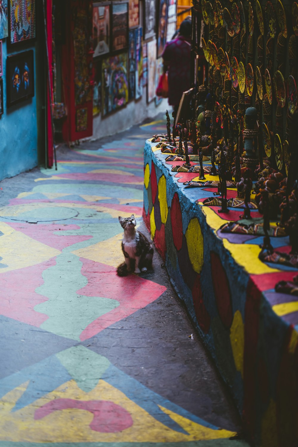 a cat sitting on the ground in front of a store