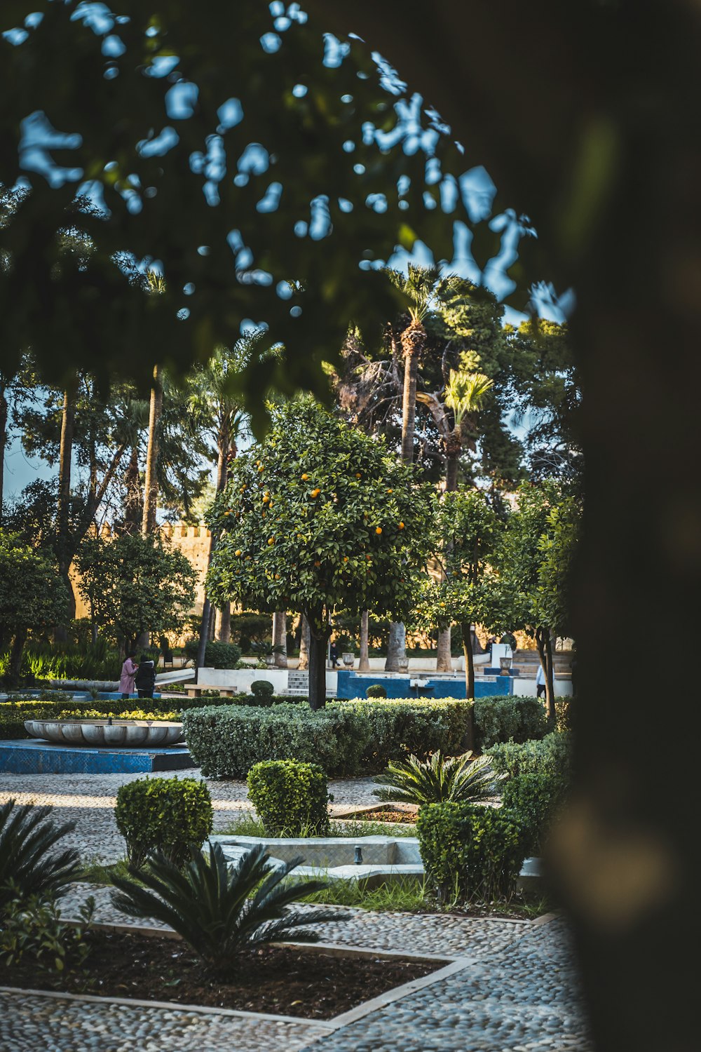 a view of a park with a pool and trees