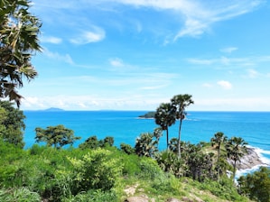 A vibrant coastal landscape in Oaxaca showing lush greenery meeting the Pacific Ocean under a clear blue sky.