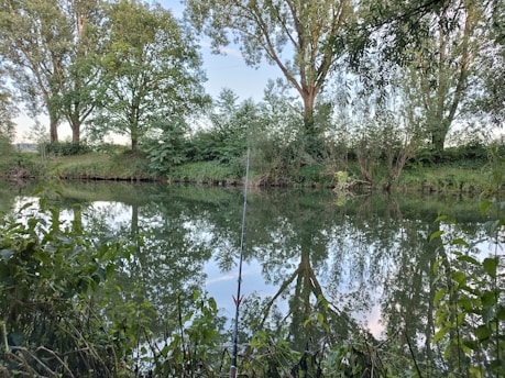 A serene riverbank at dawn with a fishing rod resting against a tree, soft morning light reflecting on the water.