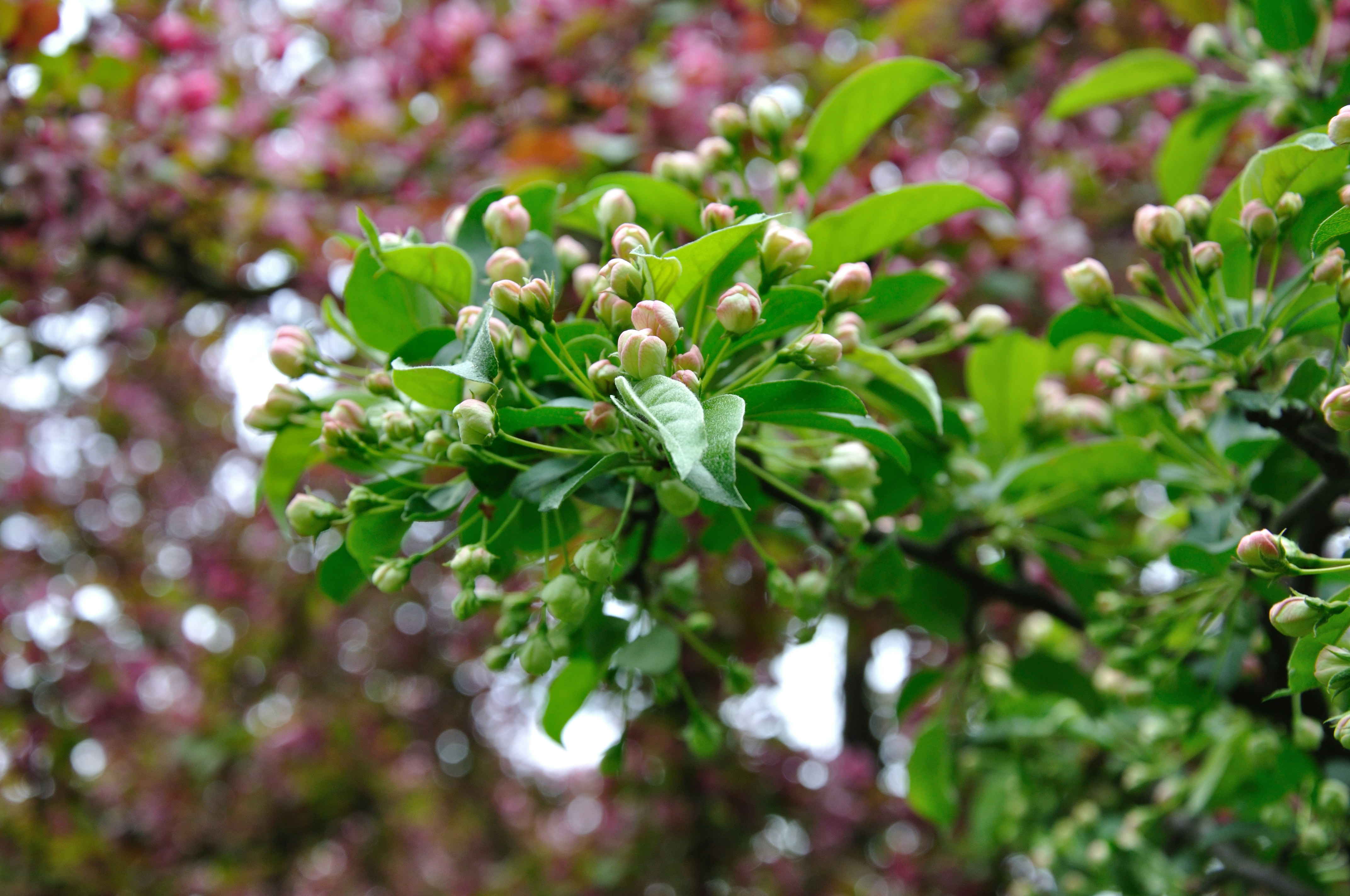 Photo by handsketched