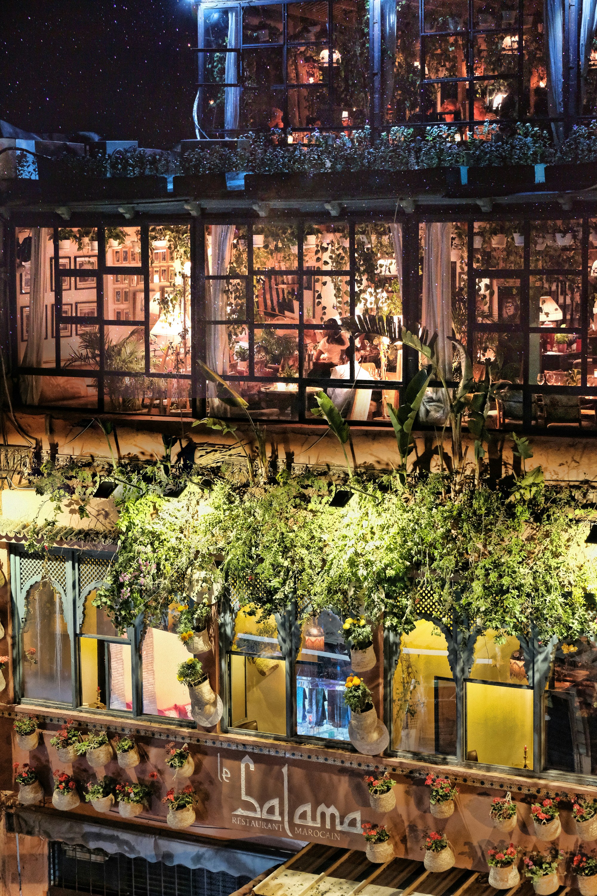 Cầu Mây Street: The Heartbeat of Sapa's Bar Scene