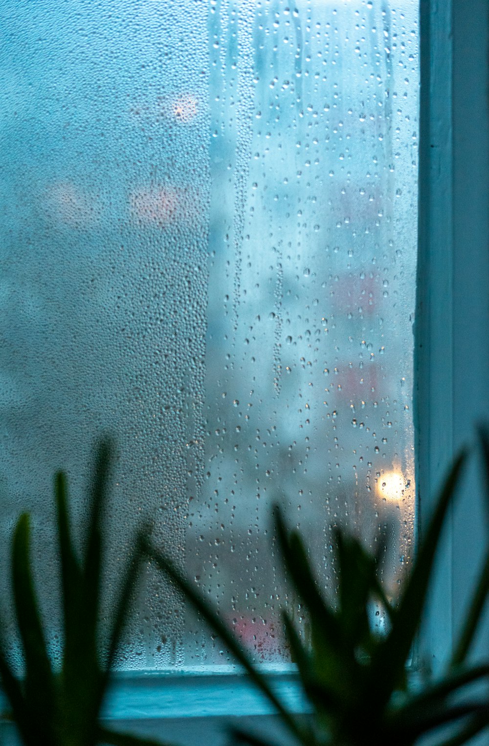 a window with rain drops on it and a plant next to it