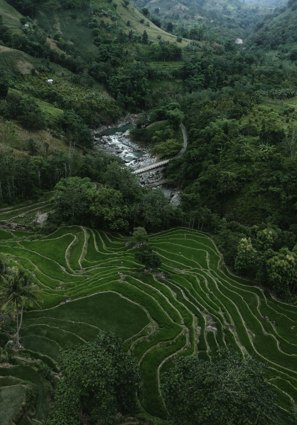 a lush green valley with a river running through it