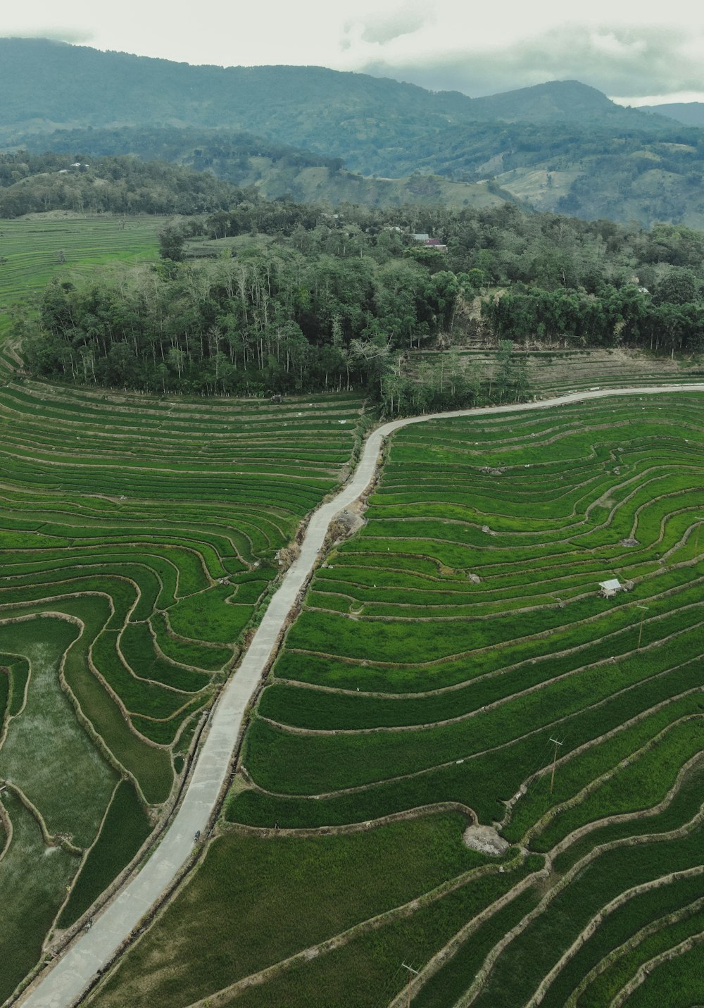 a lush green field with a river running through it