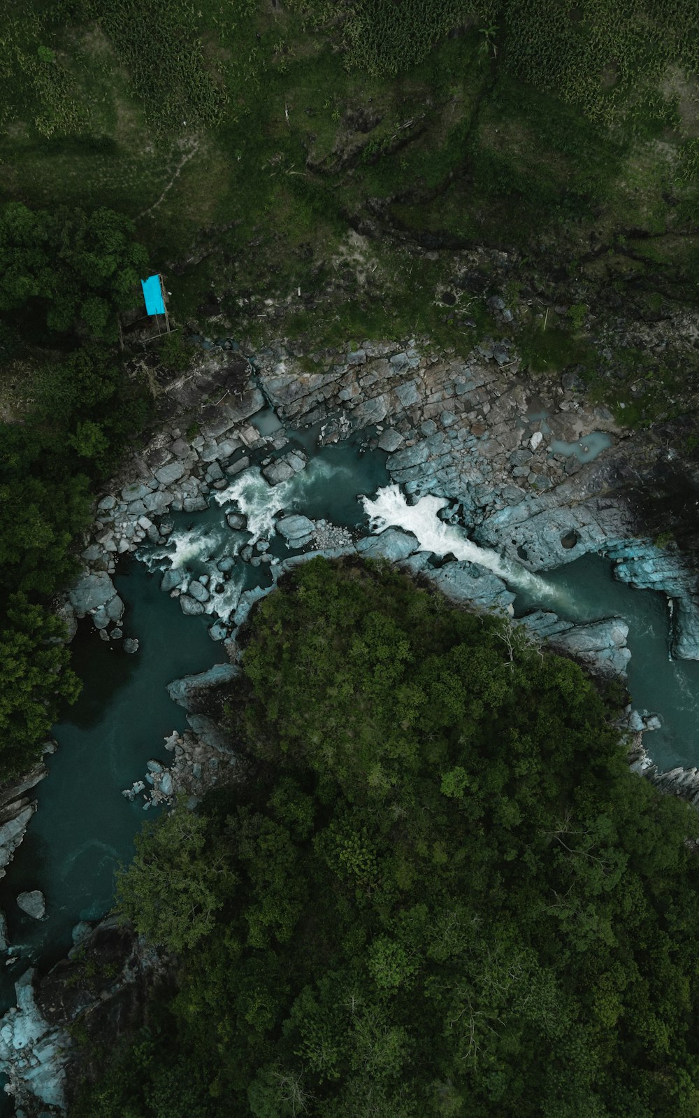 an aerial view of a river running through a forest