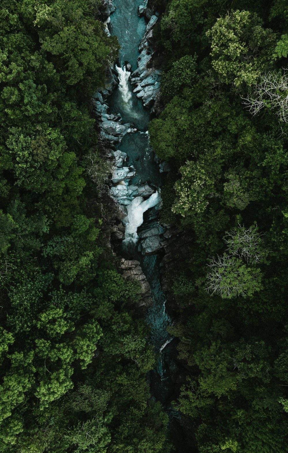 A river running through a lush green forest photo – Free Iao valley Image  on Unsplash
