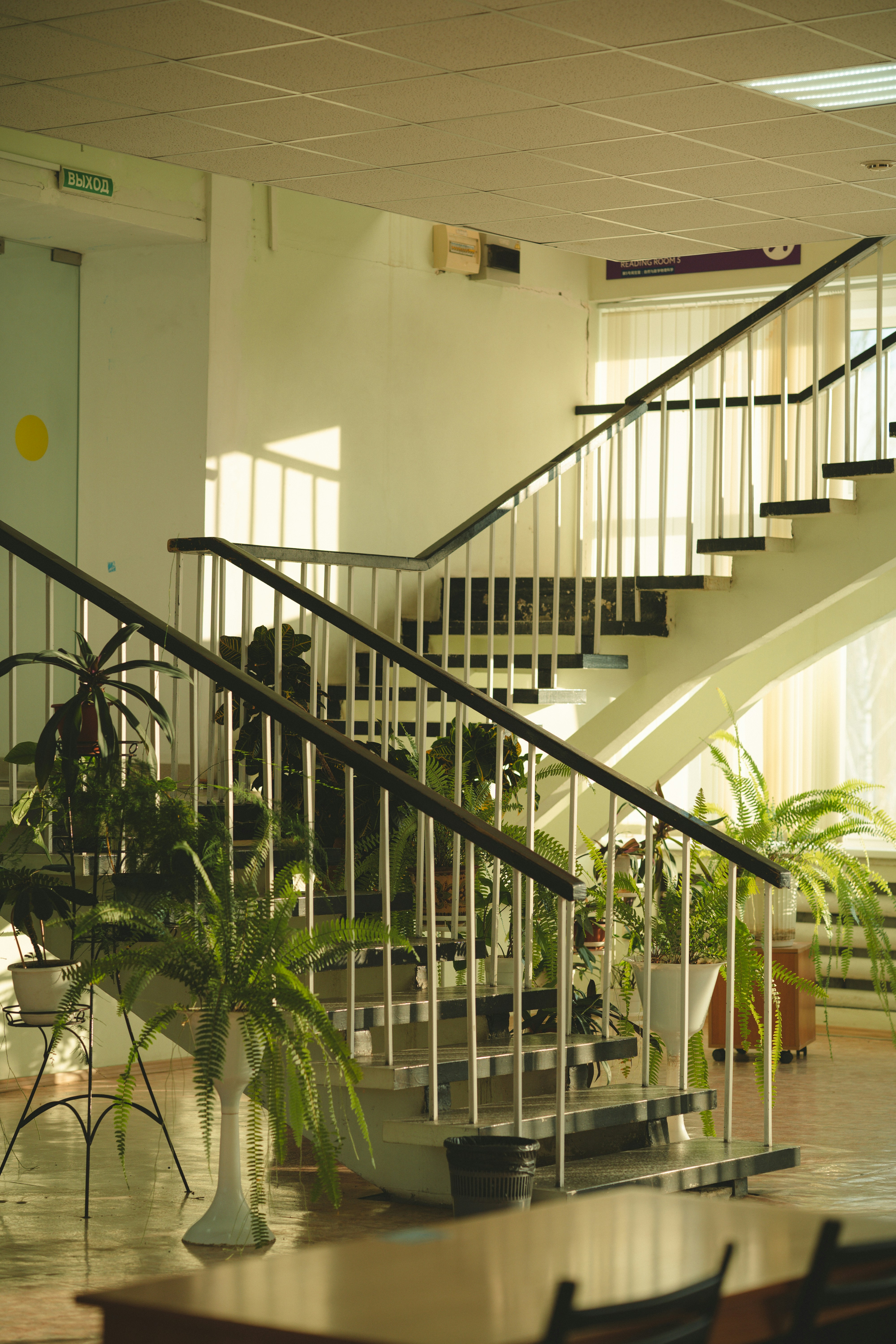 Photo by anamnesis33