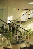 Our cleaning team working efficiently under natural light in a well-kept stairwell.