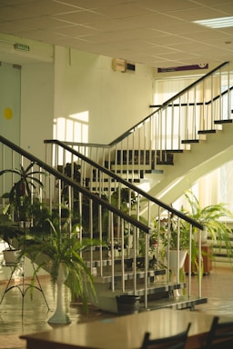 A well-lit interior space featuring a staircase with metal railings and multiple steps. Numerous green plants in pots are placed around and under the stairs, contributing to a fresh and natural atmosphere. There is light streaming in through windows, adding warmth to the setting. The area is clean and organized.