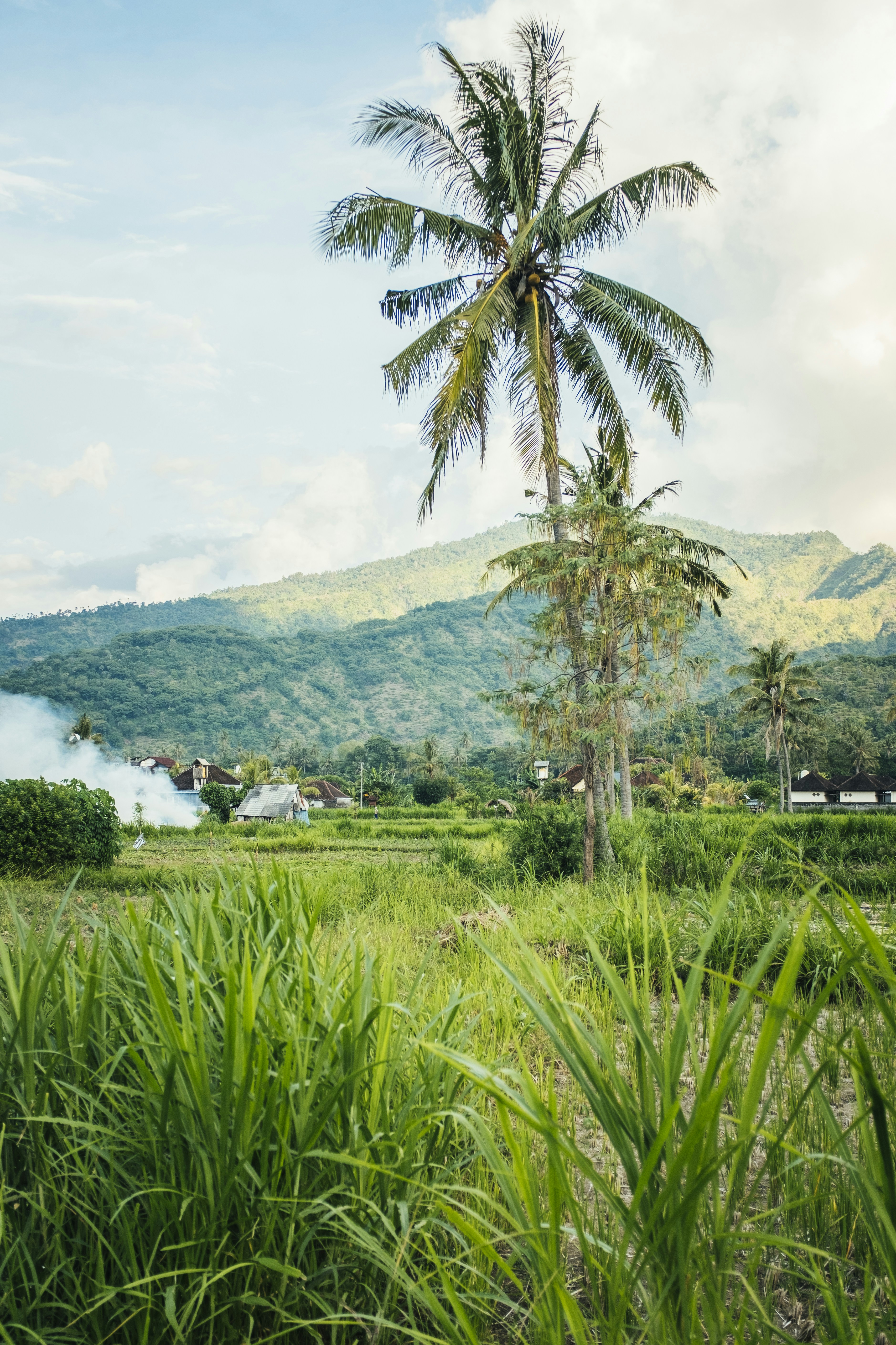 Photo by bernardhermant