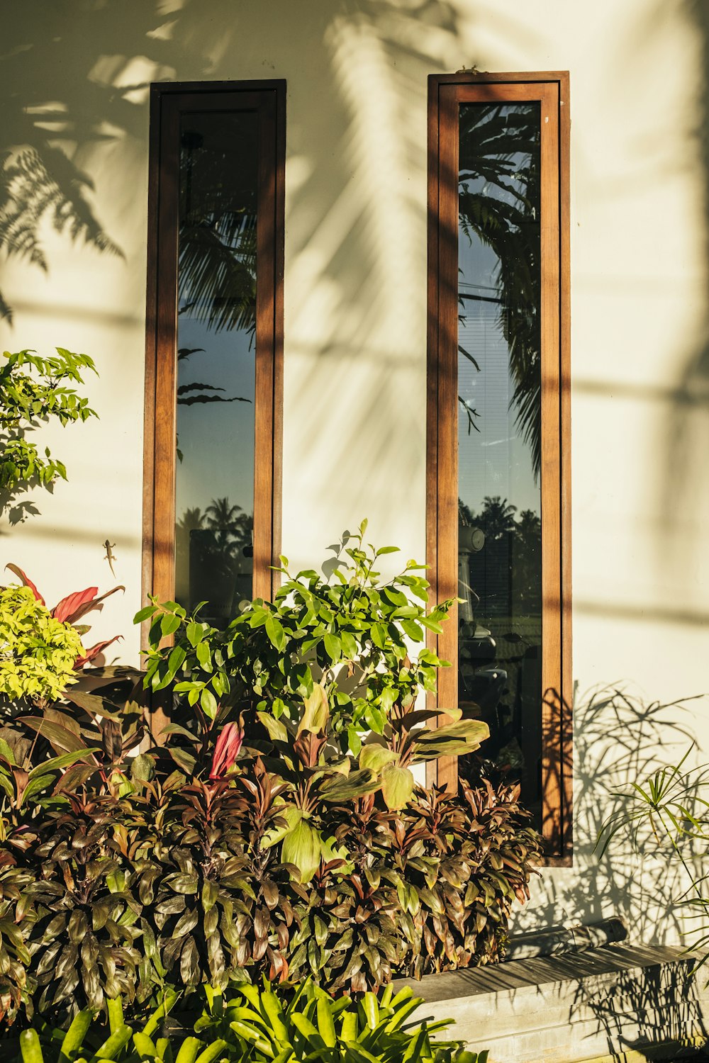 a white house with two windows and plants in front of it