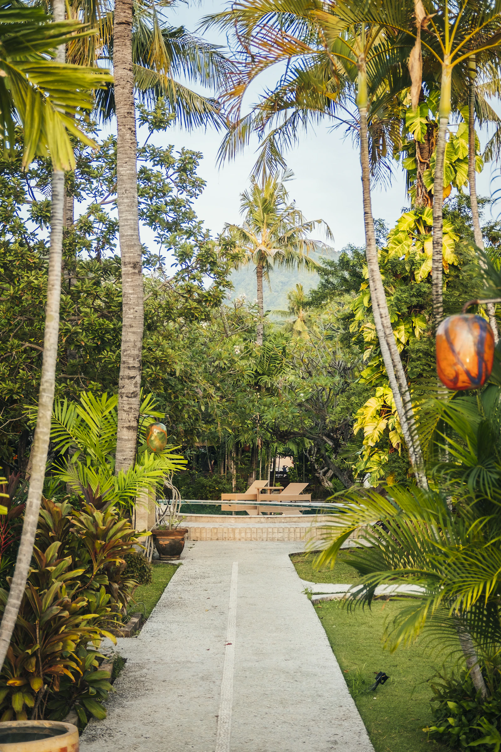 Tropical garden pathway with palm trees in Bali